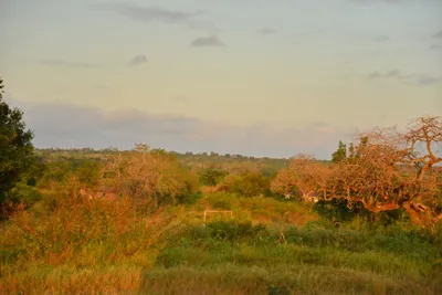 DSC_4262 (Large).JPG